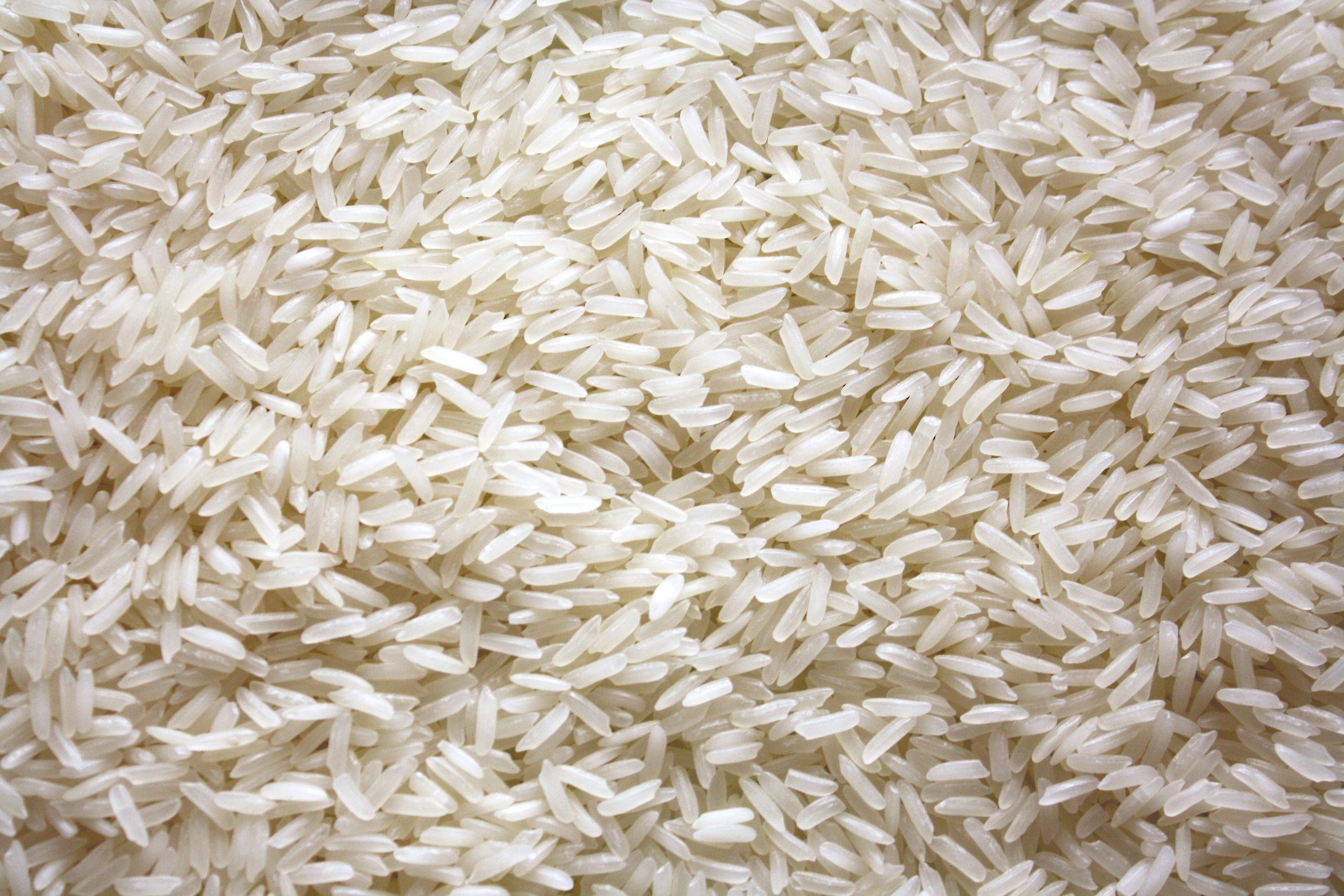 Photograph of uncooked white jasmine rice