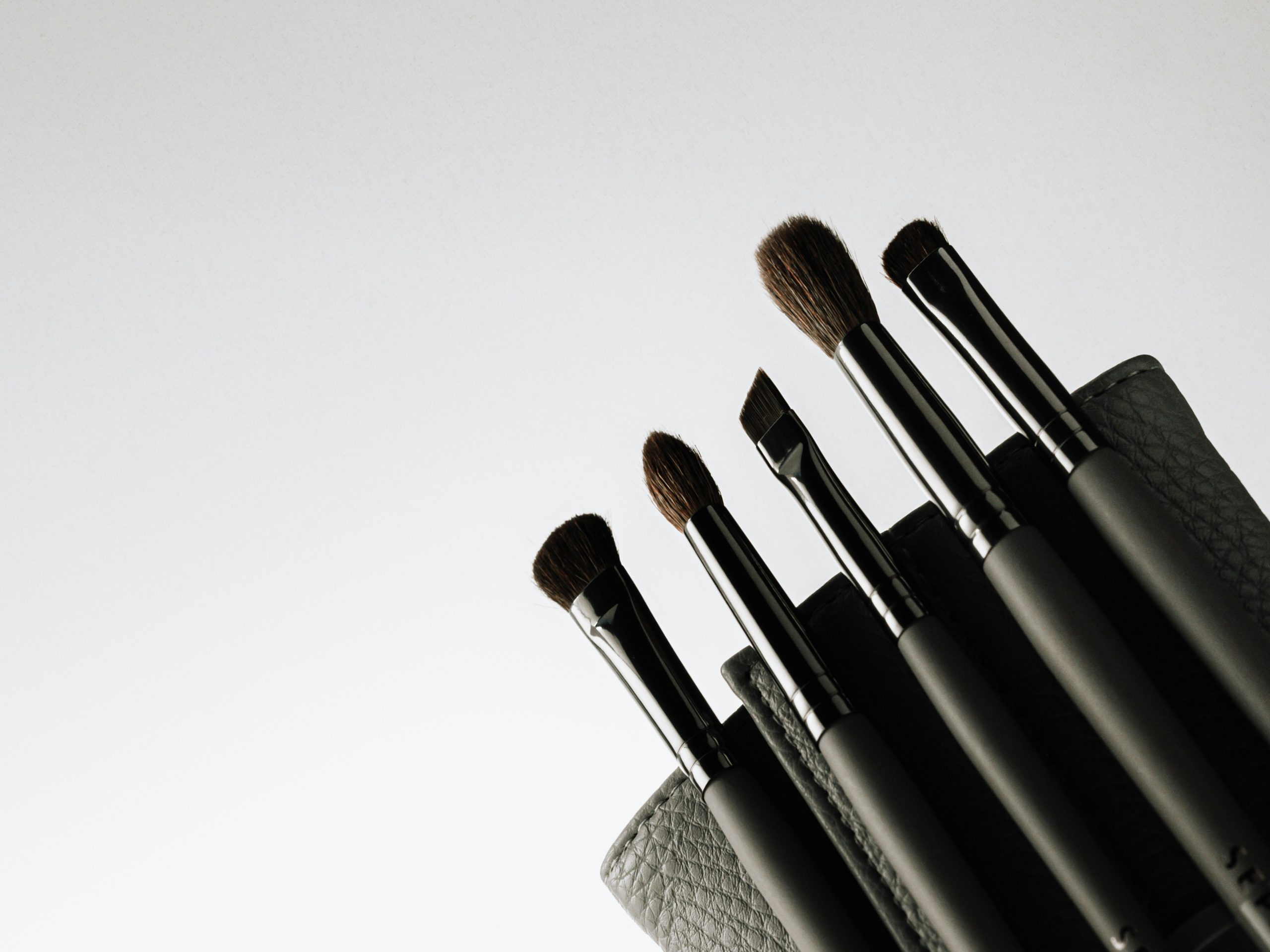 Photograph of five different black handled paint brushes