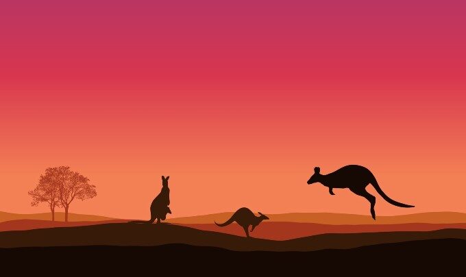 three kangaroo silhouettes against sunset