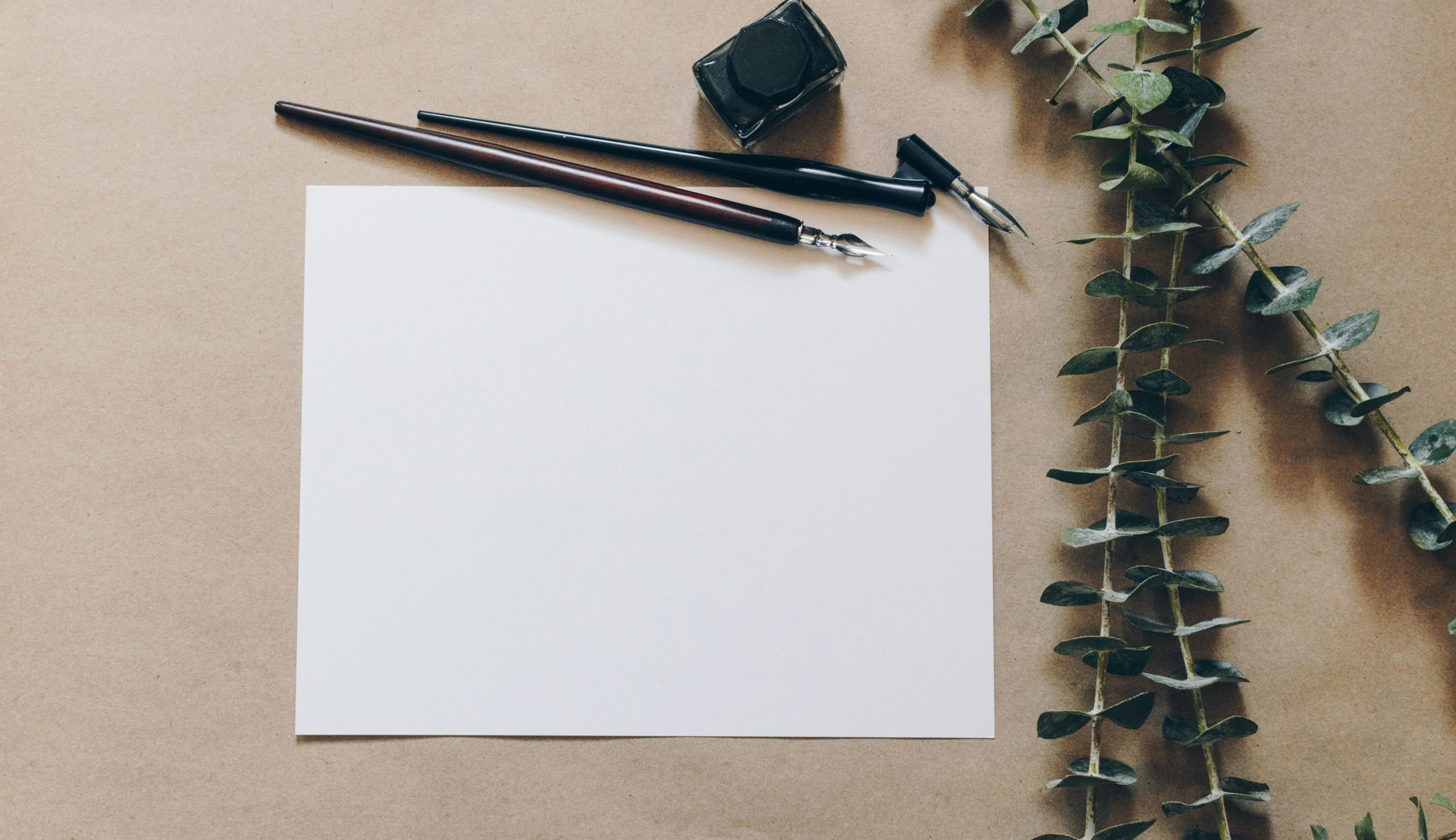 Photograph of a blank sheet of paper on a wood surface with two fountain pens above and eucalyptus leaves beside